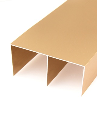 2.ПАРТНЕР Направляющая верх. двухполоз., Золото матовое (6м) Econom